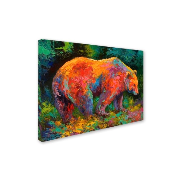 Marion Rose 'Deep Woods Grizz' Canvas Art,35x47
